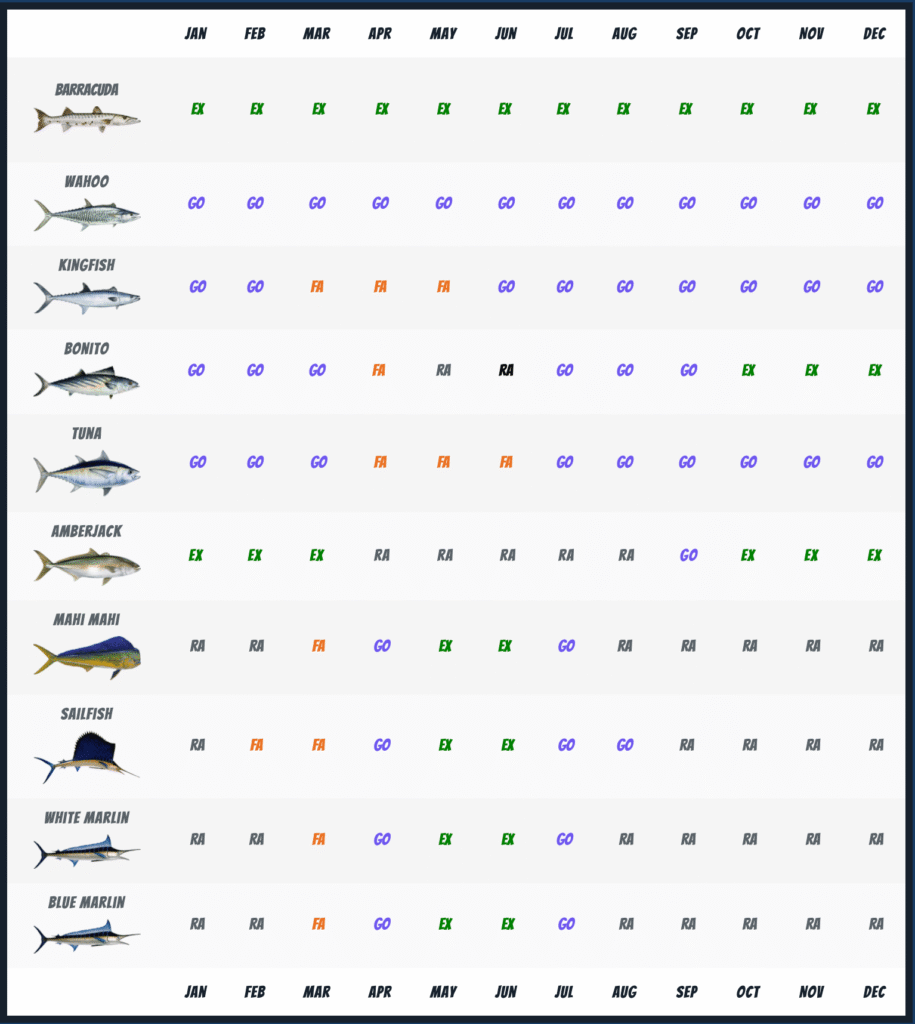 trolling fishing in playa del carmen, private fishing charter , fishing tours playa del carmen