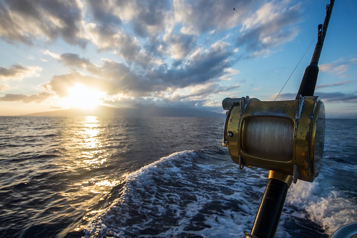 trolling fishing in playa del carmen, private fishing charter , fishing tours playa del carmen